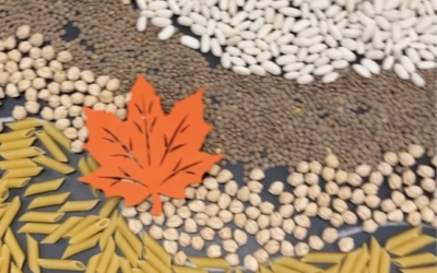BANDEJA DE OTOÑO SENSORIAL